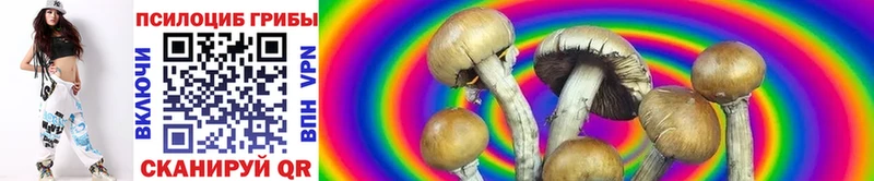 закладка Балашов Галлюциногенные грибы Magic Shrooms
